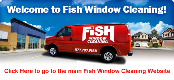 Fish Window Cleaning